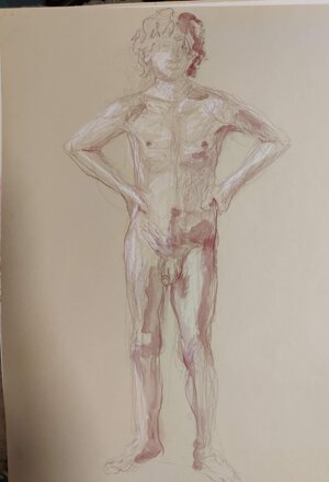 nudo studio